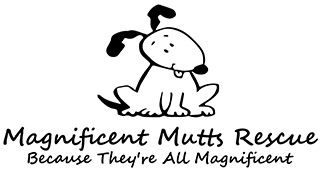 Feature Image for Magnificent Mutts Rescue 